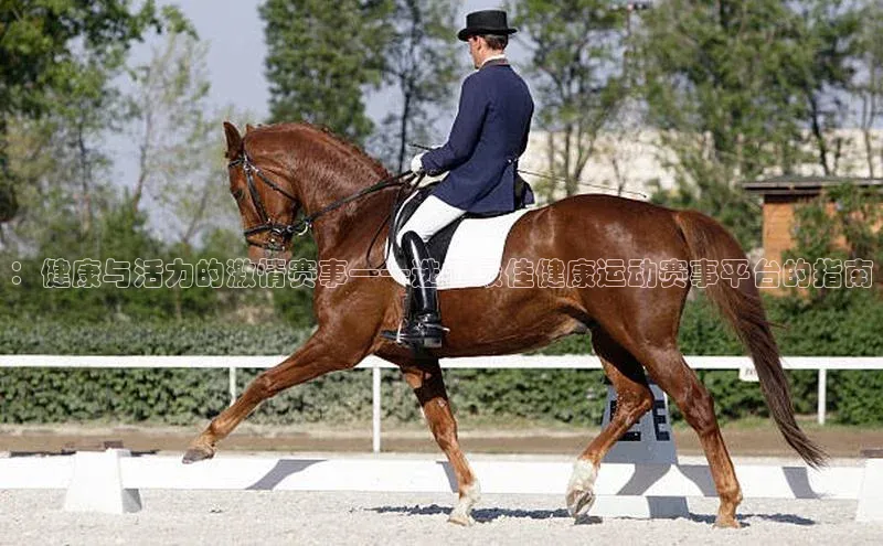 ：健康与活力的激情赛事——选择最佳健康运动赛事平台的指南